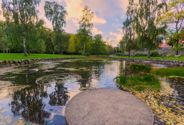 Photo of reflection of blue sky in pond during spring, Gothenburg Botanical Garden, Sweden.