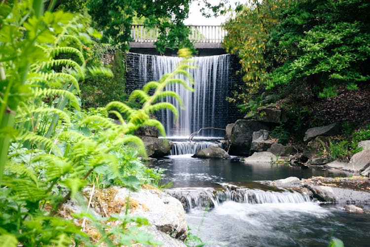 Photo of a Waterfall at Brest Botanical Garden in France.