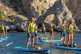 Aventure avec stand up paddle et snorkeling à Rhodes