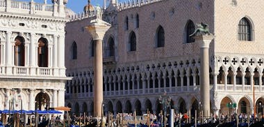 Saltafila: Venezia in un giorno compreso tour in motoscafo