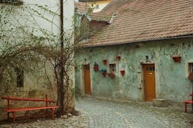 Udforsk de instaværdige steder i Cesky Krumlov med en lokal