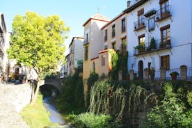 Excursão a pé guiada por Albayzin e Sacromonte em Granada