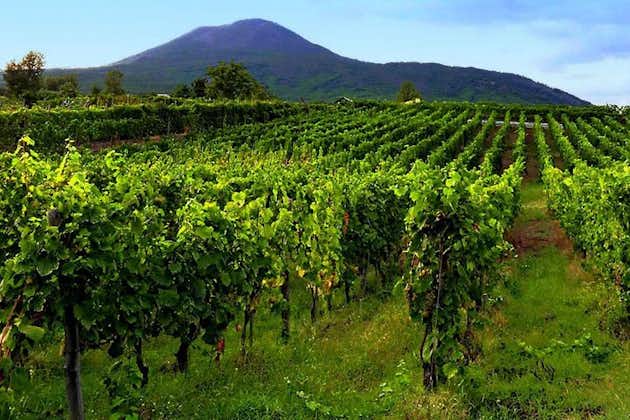 Tour of Sorrento Exploration+Wine Tasting with Lunch on Mt. Vesuvius (Full Day)