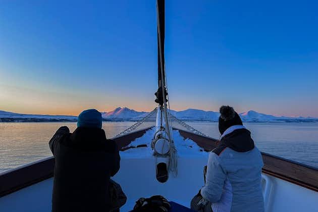 Crucero por el fiordo polar en yate de lujo de Tromso con almuerzo
