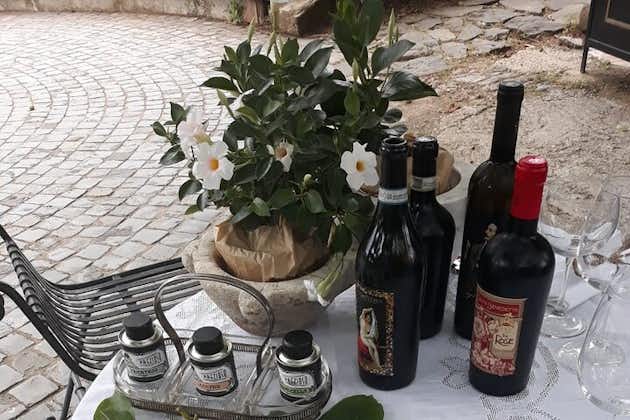 Rome - Frascati: Private Wine Tasting Tour 