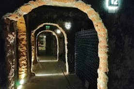 I migliori sapori di Bairrada Winery Route, mezza giornata da Coimbra