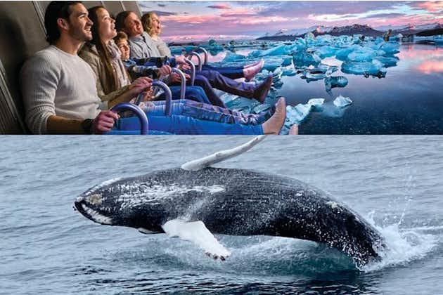 Whale Watching And Fly Over Iceland Guided Tour