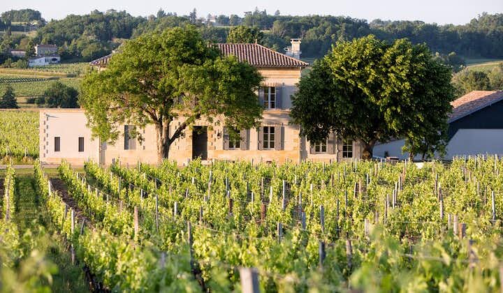 Saint Emilion Halvdagstur med vinprovning och vingårdsbesök från Bordeaux