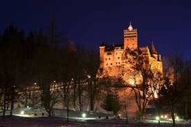 Castillo de Peles, castillo de Drácula y casco antiguo de Brasov: tour privado desde Bucarest