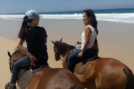 在海滩里斯本地区的马骑术游览
