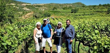 Winetasting tour in Alpeta winery - Roshnik village by 1001 Albanian Adventures