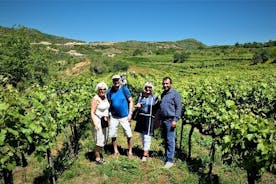 Weinprobe im Weingut Alpeta - Roshnik village bei 1001 Albanian Adventures