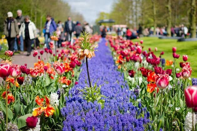 Excursion d'une journée aux jardins de tulipes de Keukenhof au départ d'Amsterdam: privée et personnalisée