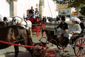 Private Half day Tour in Lusitanian Horses and Photography Museum