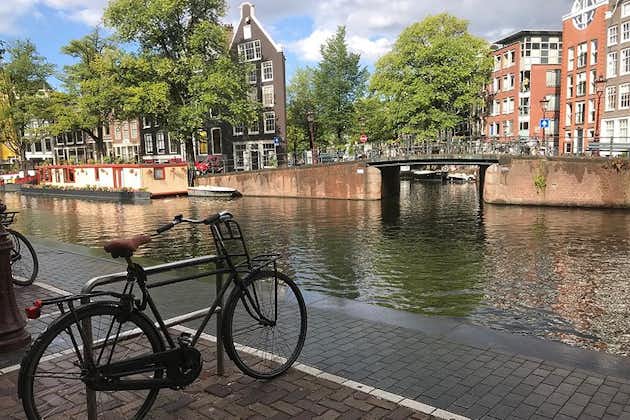 Visite privée de la ville et de la campagne d'Amsterdam