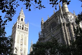 Privat tur: Sevilla bytur (katedral, Royal Alcázar og Santa Cruz)