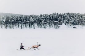 Daytime Experience in Jukkasjärvi