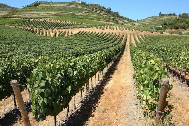Douro Valley Tour Including 3 Wineries to Small Groups 