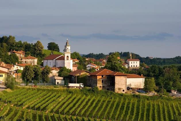 Tour privato delle colline del vino Goriska Brda da Lubiana