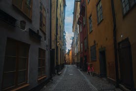스칸디나비아 수도: 3시간 개인 스톡홀름 사진 투어