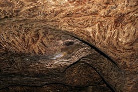Хрустальная пещера в селе Кривче Частная однодневная поездка из Каменца-Подольского