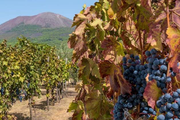 私人维苏威火山和庞贝，午餐和葡萄酒农场体验