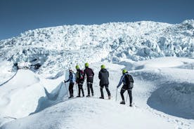 Escursione sul ghiacciaio di Skaftafell - 3 ore a piedi - per piccoli gruppi
