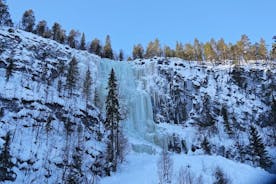 コロオマ国立公園へのガイド付きツアー (凍った滝)