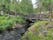 Fjällbotanisk Trädgård, Jokkmokks kommun, Norrbotten County, Sweden