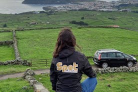 Tour de medio día a la isla de Terceira