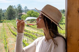 Full-Day Tour of Algarve Wineries from Albufeira