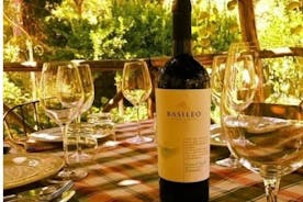 Wine Tasting at Basileo Cellar with Lunch