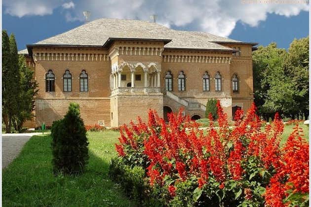 Palais Mogosoaia et monastère de Snagov: visite privée de Bucarest
