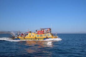 多莉在 Pserimos 和 Pserimos 海滩的玻璃底船冒险