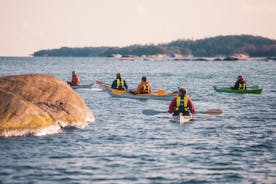 Expérience de kayak de mer d'une journée à Pargas