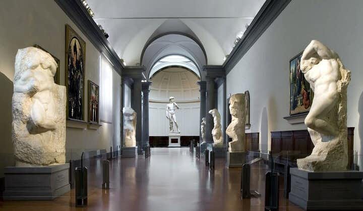 Visita para grupos pequeños con entrada Evite las colas a la Galería de la Accademia de Florencia