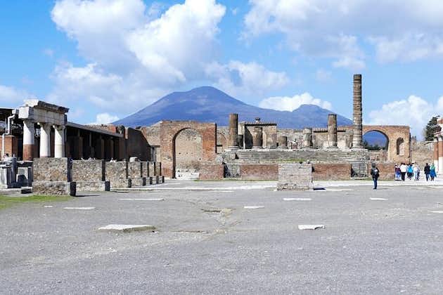 All-Inclusive Day Trip to Pompeii and Mt. Vesuvius from Naples