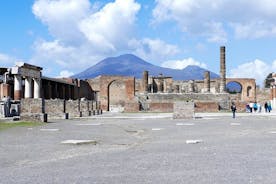 Gita giornaliera al Vesuvio e Pompei da Napoli (tutto incluso)
