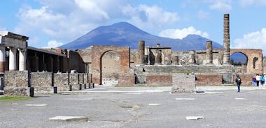 Escapada de un día al Monte Vesubio y Pompeya desde Nápoles