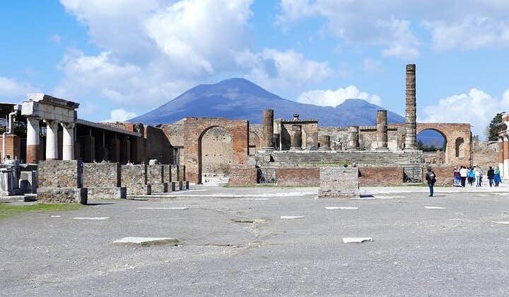 Excursion d'une journée avec tous les frais inclus au mont Vésuve et à Pompéi au départ de Naples