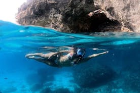 Snorkeling Adventure Exploring the Sea & Caves of Malta