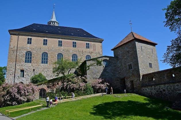 Hoogtepunten van Oslo met een bezoek aan het Vikingmuseum