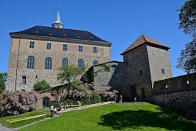 Oslo Highlights with a visit to the Viking Museum