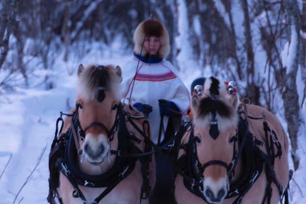 Pferdeschlittenfahrt mit Tapas-Mahlzeit - Erleben Sie das arktische Farmleben