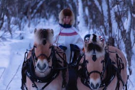 Sleigh Ride w / Tapas Meal - Sperimenta la vita nell'Artico Farm