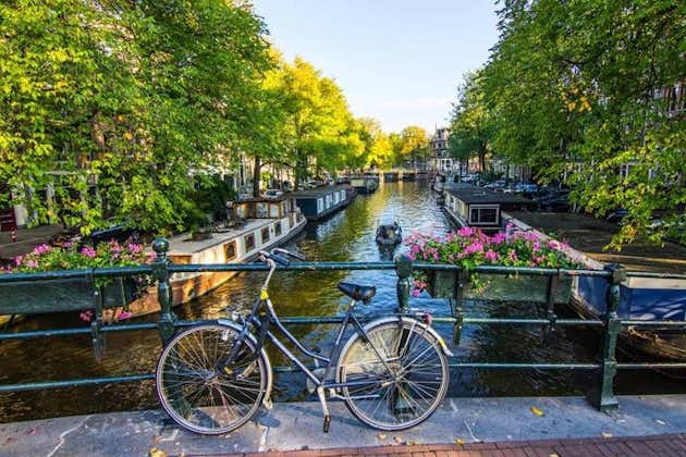 Det beste av Amsterdam: vandretur for små grupper