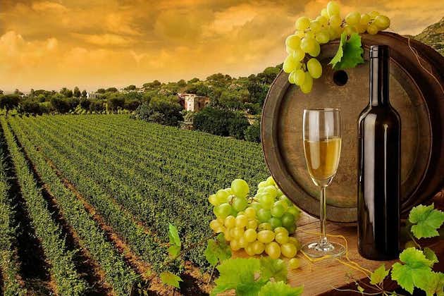 Weinkäse- und EVO-Ölverkostungen in der Toskana ganztägig von Rom aus