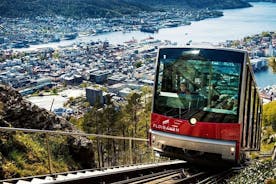 Bergen 3-in one Guided Tour - Fjord Cruise, City Sightseeing and Mount Fløyen
