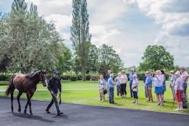 Guided Half Day Behind the Scenes Newmarket Tour