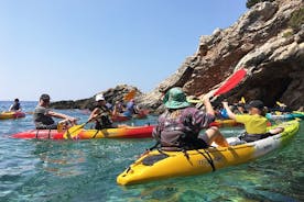 Simning och snorkling äventyr till Blue Lagoon Kroatien